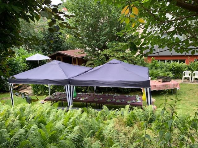 Hotel Sonnenhof Bad Wildbad Extérieur photo